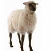 * Life Size Brown Sheep Toy By Hansa, 41" Long -Affordable Gift For Your Little One! Item #Dhan-3595 Hansa Animals