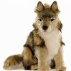 * Sitting Gray Wolf Cub Reproduction Hansa 15" Long -Affordable Gift For Your Little One! Item #Dhan-4291 Hansa Animals