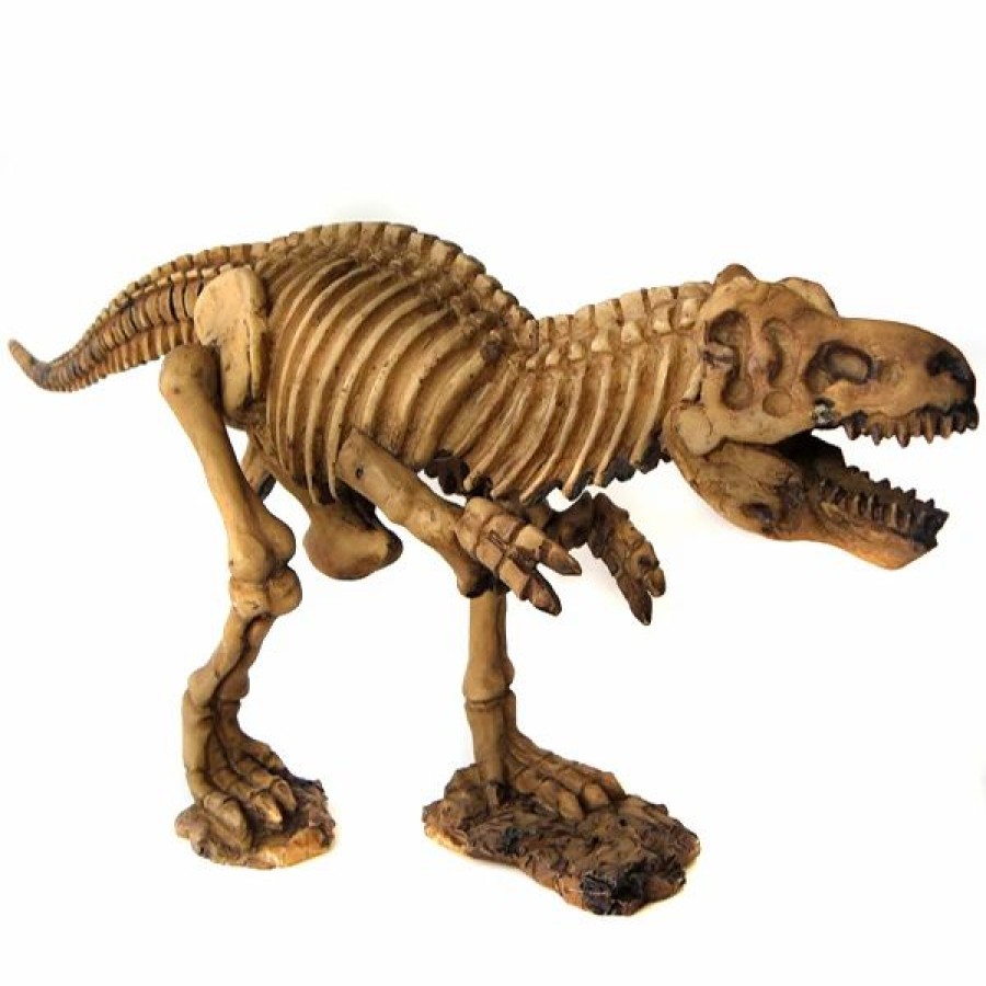 * All4Lessshop Dig It Dinosaur 15In Tyrannosaurus Rex Science Kit Dinosaur Science Kits