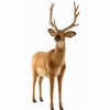 * White Tail Deer Toy Reproduction By Hansa, 41" Tall -Affordable Gift For Your Little One! Item #Dhan-4509 Hansa Animals