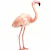 * Flamingo Toy Reproduction By Hansa, 33" Tall -Affordable Gift For Your Little One! Item #Dhan-3261 Hansa Animals