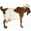 * Native Goat Toy Reproduction By Hansa, 41" Long -Affordable Gift For Your Little One! Item #Dhan-4684 Hansa Animals