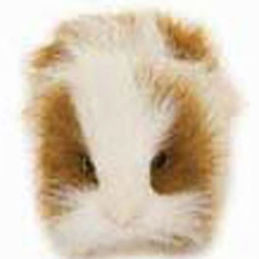 * Guinea Pig Brown/White Reproduction By Hansa 8" Long -Affordable Gift For Your Little One! Item #Dhan-3735 Hansa Animals