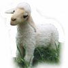 * Baby Lamb Toy Reproduction By Hansa, 6" Long -Affordable Gift For Your Little One! Item #Dhan-4787 Hansa Animals