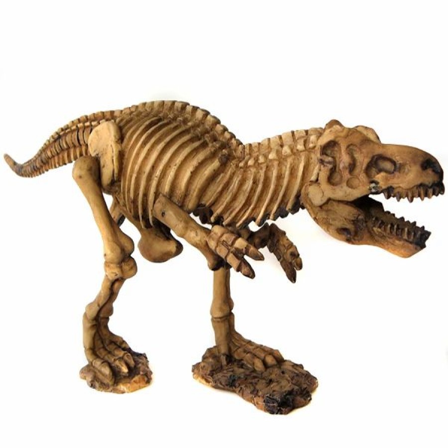 * All4Lessshop Dig It Dinosaur 15In Tyrannosaurus Rex Science Kit Dinosaur Science Kits