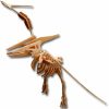 * All4Lessshop 3-D Wooden Puzzle Large Pteranodon 3-D Wooden Puzzles