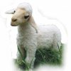 * Baby Lamb Toy Reproduction By Hansa, 6" Long -Affordable Gift For Your Little One! Item #Dhan-4787 Hansa Animals