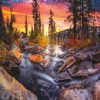 * Buffalo Games Photography: Forest Magic Hour 1000 Piece Puzzle Fall Puzzles