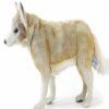 * Standing Coyote Toy Reproduction By Hansa, 14" Long -Affordable Gift For Your Little One! Item #Dhan-5207 Hansa Animals